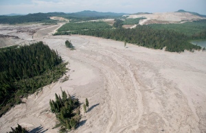 An aerial view shows the damage caused by a tailings pond breach near the town of Likely, B.C. Tuesday, August, 5, 2014. (Jonathan Hayward  / THE CANADIAN PRESS)