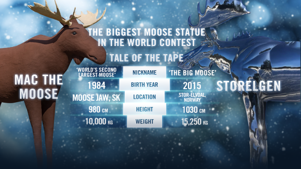 Moose statue comparison
