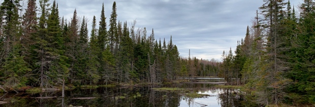 Beaver Pond in Northern Ontario