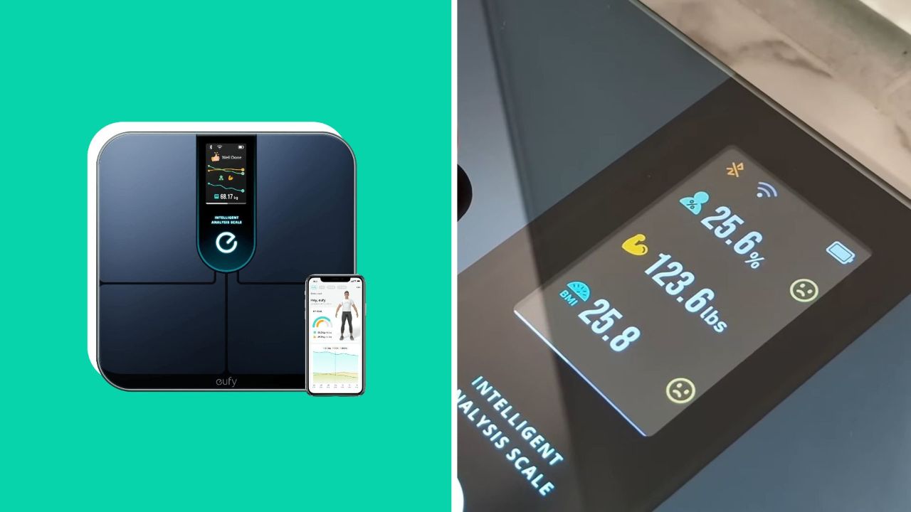 Our Guide To The Best Smart Scales In Canada In 2024 (And Where To Get Them)