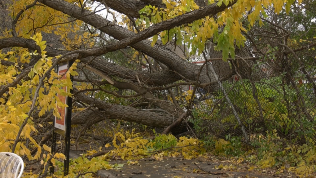 Hydro-quebec Making Slow But Steady Progress; 50,000 Customers Still 