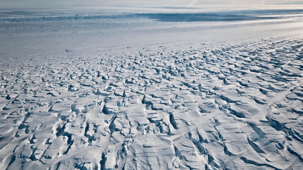 Antarctica will likely set an alarming new record this year, new data shows  | CTV News