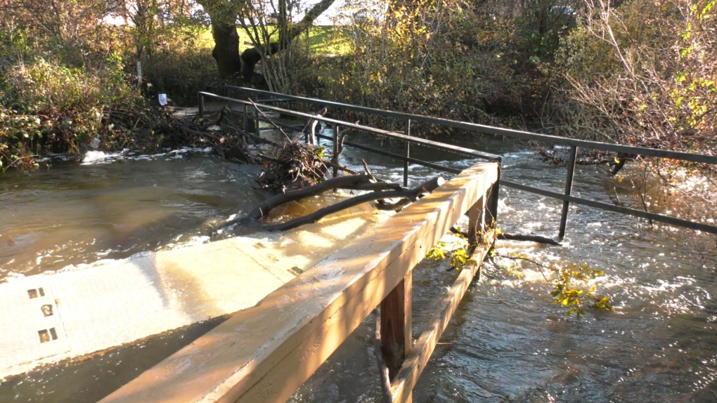 Growing fears that flooding has damaged salmon runs in urban rivers and creeks