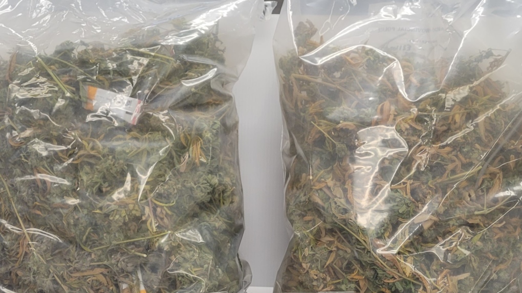 Innisfil man found with 8 pounds of cannabis in truck: OPP | CTV News