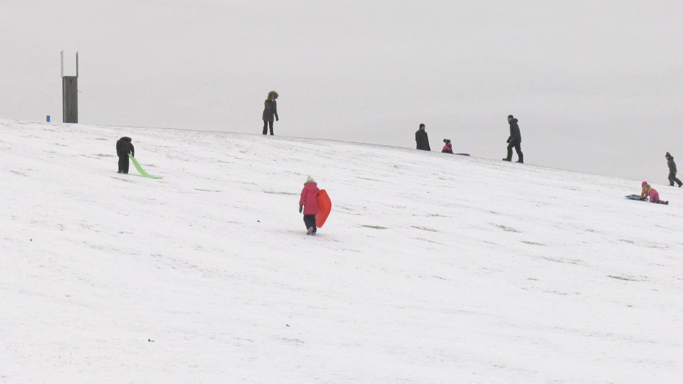 Mooney's Bay: No tobogganing this winter after vote to reopen hill fails |  CTV News