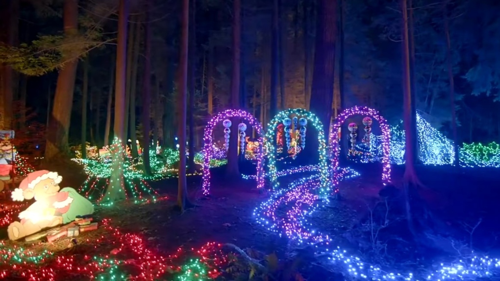 Bright Nights Train In Stanley Park Goes Dark After Suspected Theft Of ...