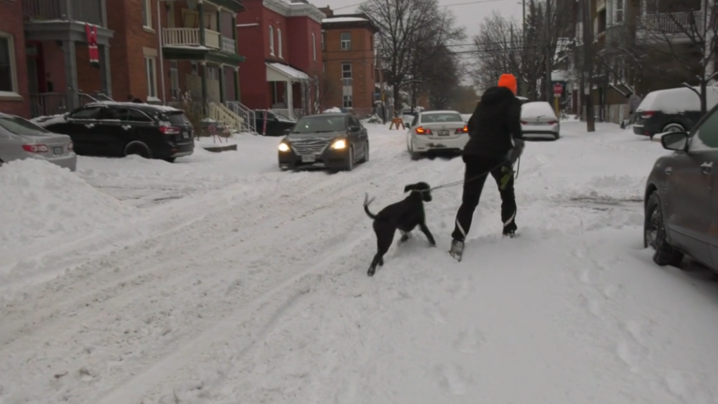 Ottawa Weather: First Big Winter Storm Of The Season Dumps Snow ...