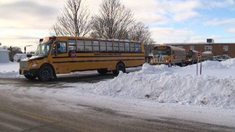 'Biggest concern is absenteeism': School bus companies worried about cancellations due to potential driver illness