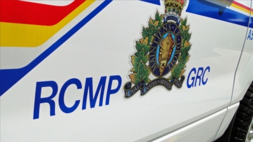 Guns, ammunition stolen from B.C. business: RCMP