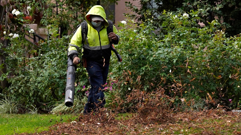 Montreal borough bans gas-powered leaf blowers | CTV News