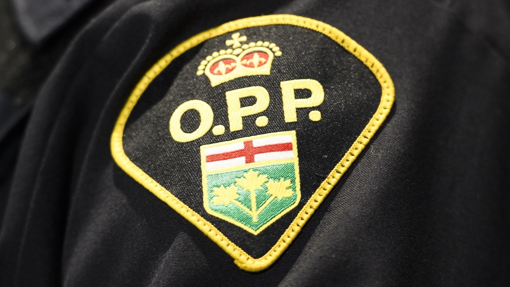 Elgin County OPP looking to identify owner, dog in biting incident