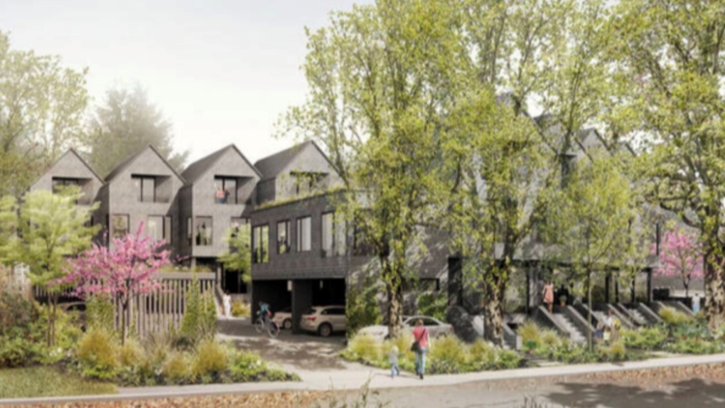 Victoria townhome development headed for public hearing amid opposition from neighbours