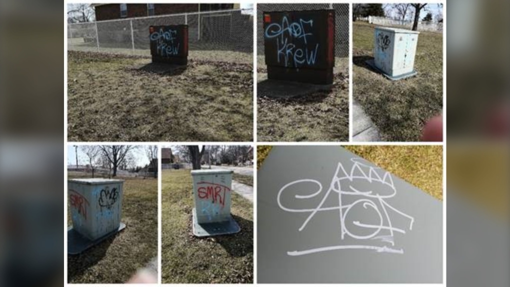 Sarnia, Ont. police looking to identify suspects after park vandalized