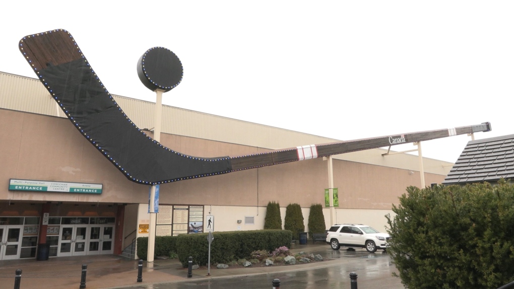 B.C. woodpecker builds home in world's largest hockey stick, raising concerns