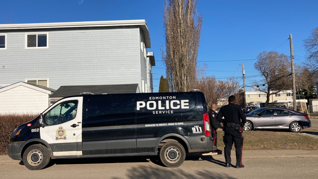 1 in custody after northeast Edmonton weapons complaint | CTV News