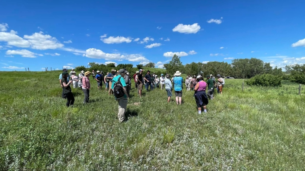 field-of-dreams-sask-residents-pool-sgi-rebate-cheques-to-purchase