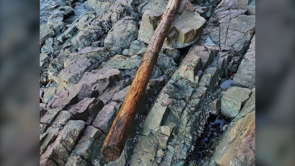 'This was a bizarre incident': Man arrested after kayakers struck by log pushed off cliff near Nanaimo