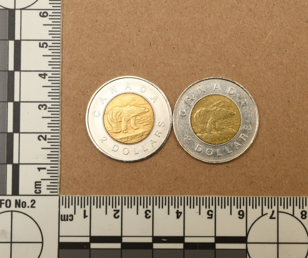 Owen Sound has an excess of fake toonies | CTV News