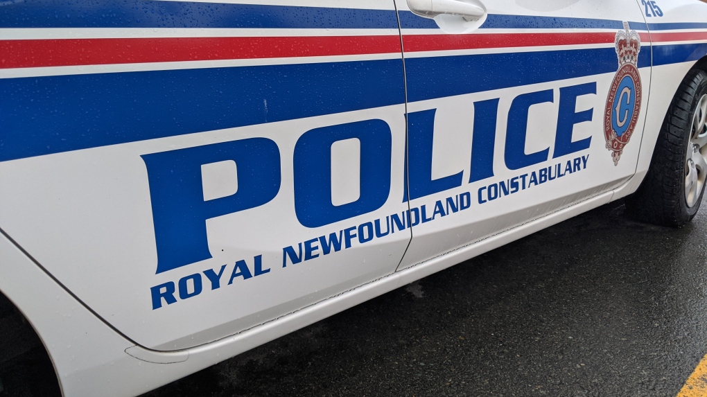 Police officer in N.L. convicted of assault, suspended without pay ...