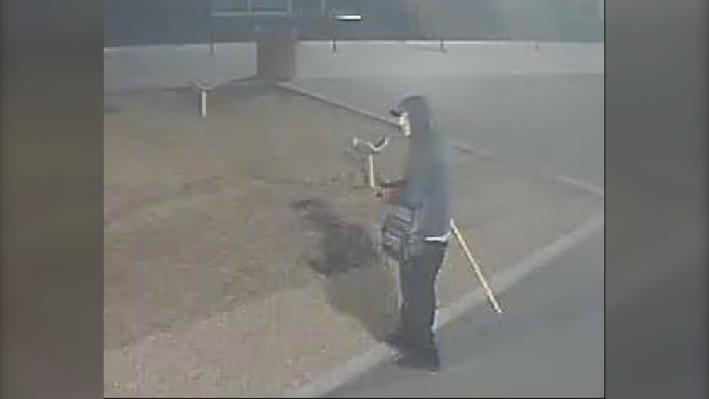 Saskatoon police searching for schoolyard needle dumper