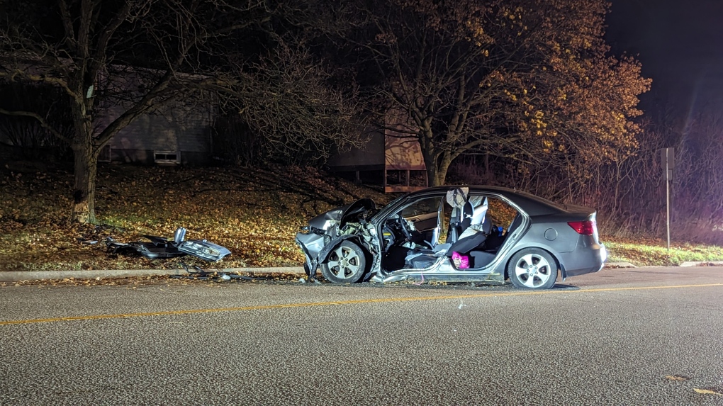 Driver dies after car slams into tree