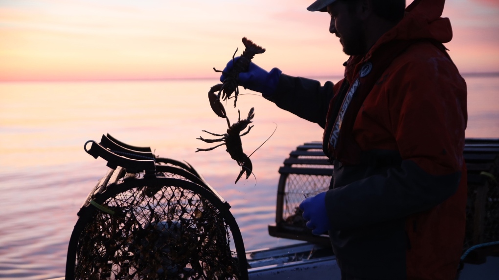 N.B. fishing photographer goes beneath the surface | CTV News