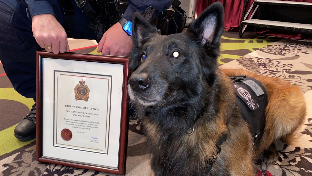 Police service dog 'Ralph' recognized at Regina police awards | CTV News