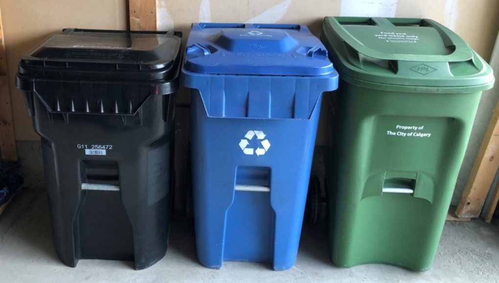 Calgary eyes new rules on bin storage because of wildlife | CTV News