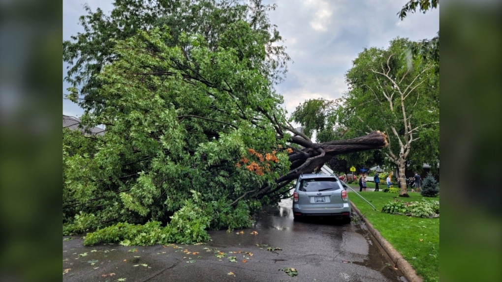 Ottawa weather: Storm knocks out power, topples trees across Ottawa ...