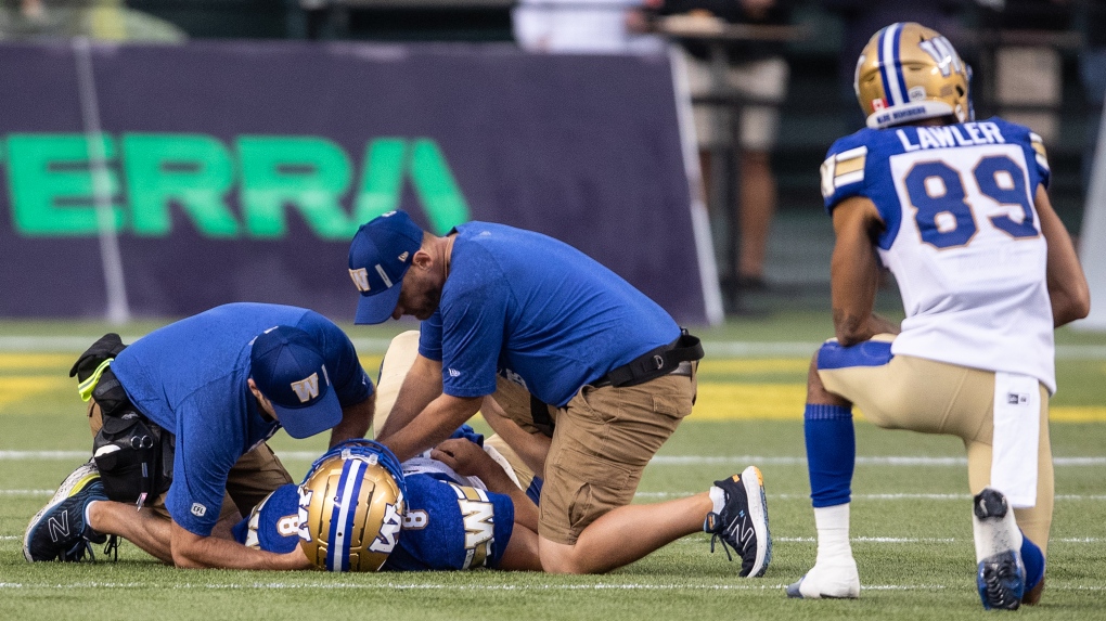 Animal rights activists interrupt NFL opener between Bills-Rams