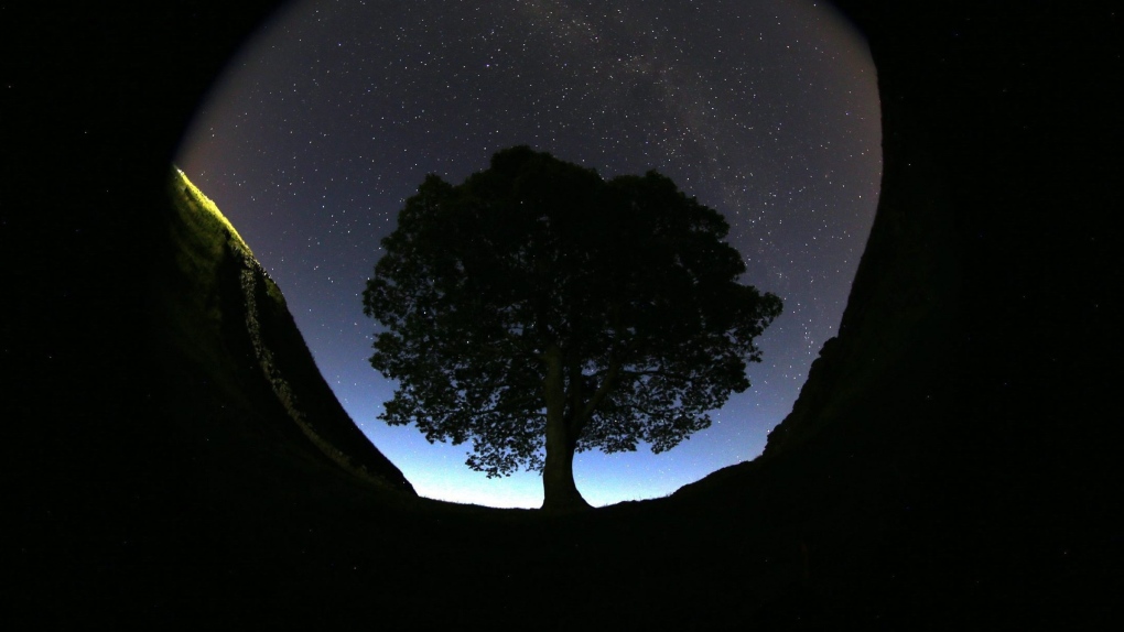 Sycamore Gap: Boy Arrested After Famous Tree Felled In 'deliberate' Act ...