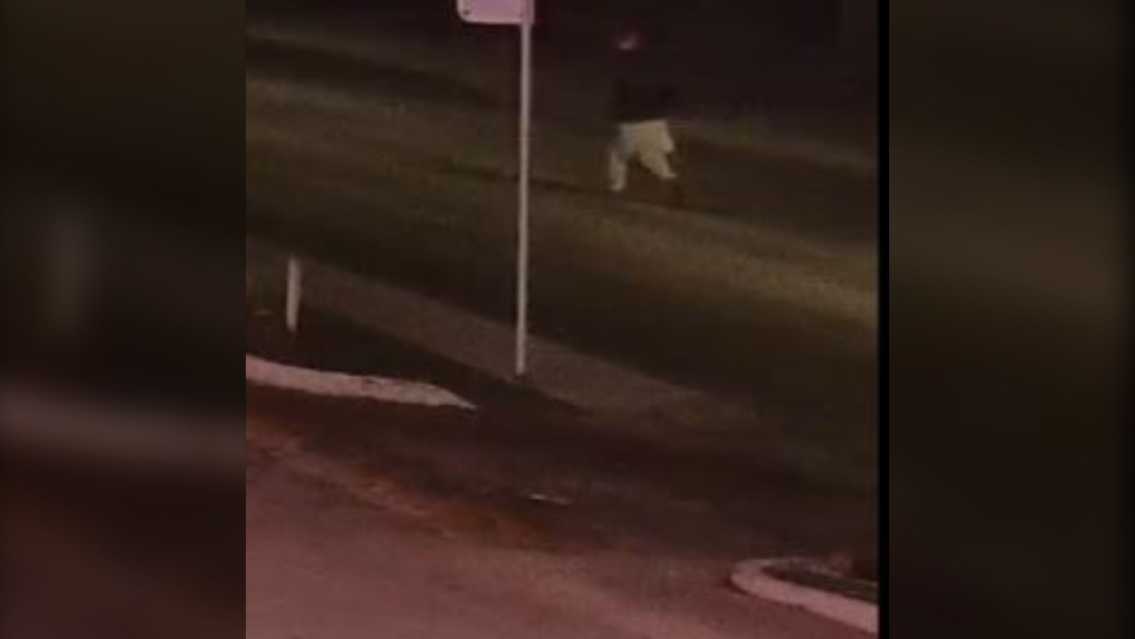 Saskatoon police release video of suspect in fatal shooting | CTV News