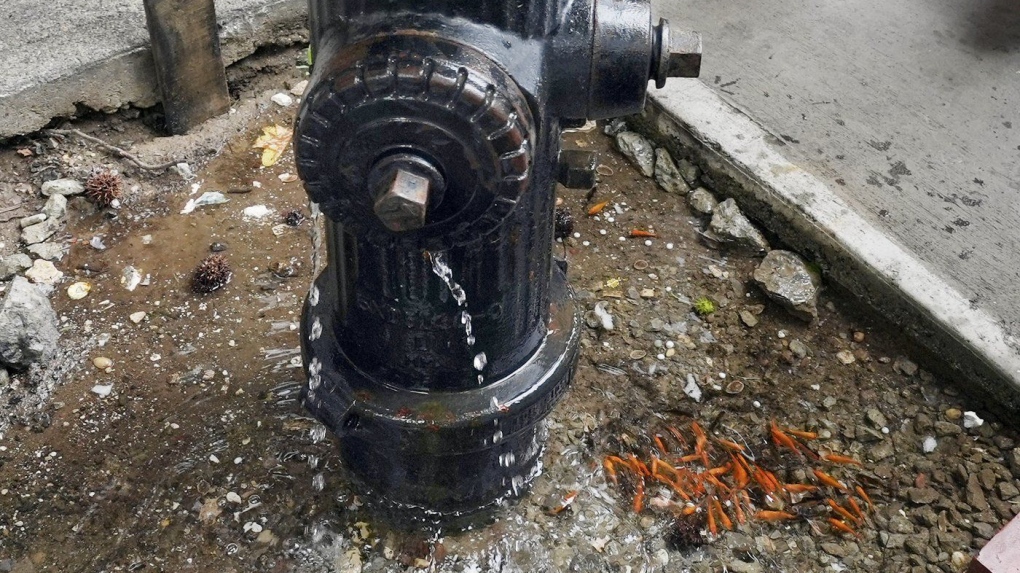 Brooklyn aquarium under leaky fire hydrant removed