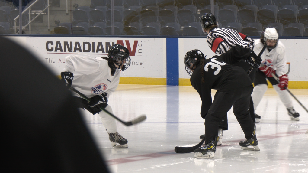 New Newfoundland hockey league teams face off