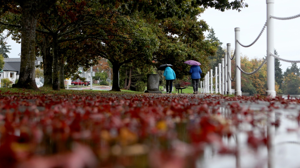 Damage, power outages possible as 'intense' storm approaches B.C. coast: Environment Canada