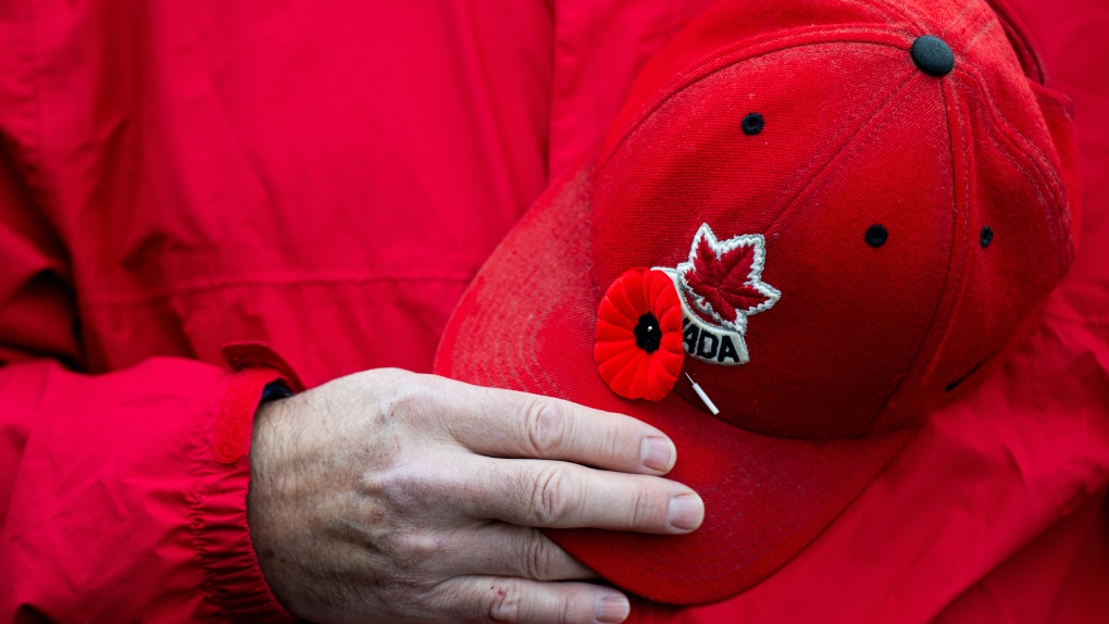 Crowds gather in Toronto to honour veterans, fallen soldiers on Remembrance Day