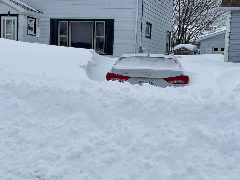 Free us': N.S. woman remains trapped in her home days after snowstorm