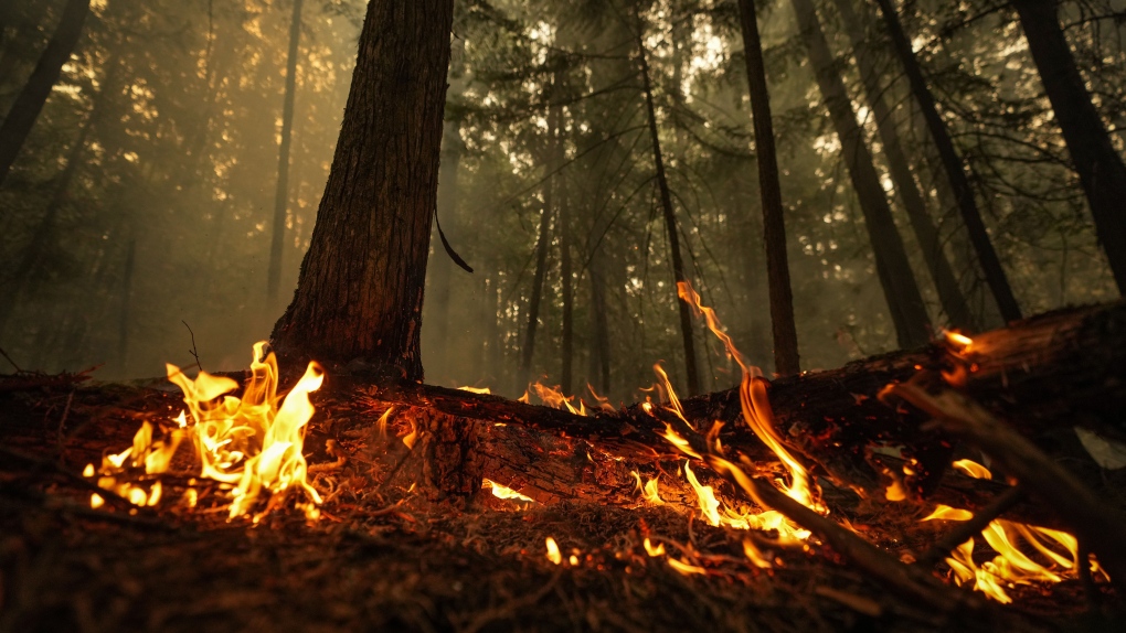 CTV National News: Wildfires in western Canada 