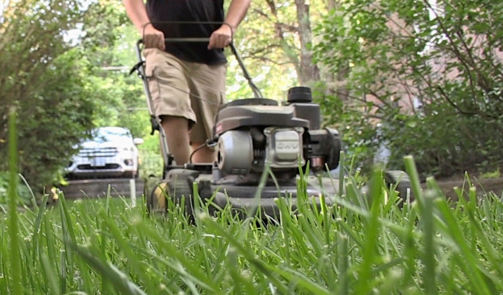 London considers imposing 6 p.m. curfew for using gas lawn mowers and yard equipment