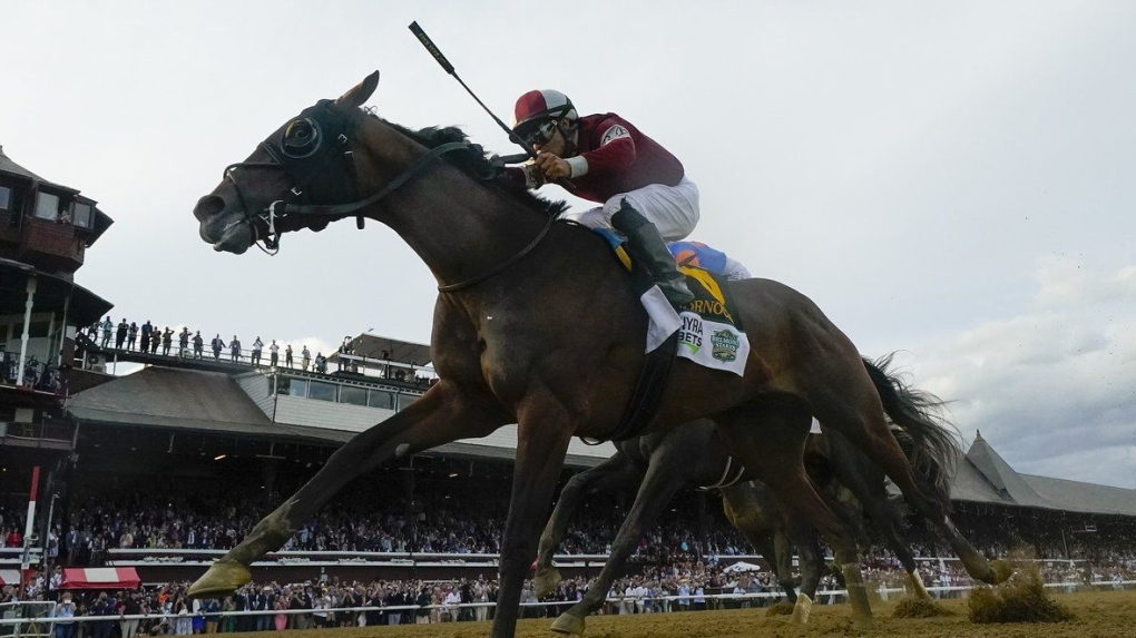 Dornoch pulls off upset to win first Belmont Stakes run at Saratoga racecourse