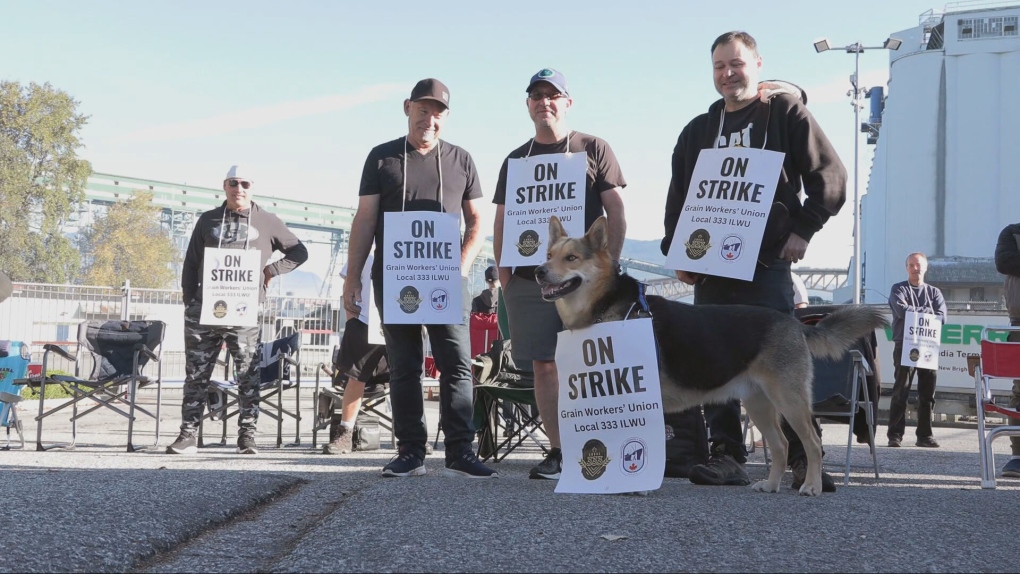 Tentative deal reached in Vancouver grain workers’ strike