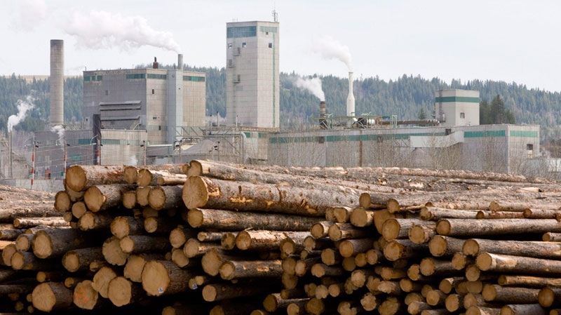 U.S.-Canada lumber trade dispute heating up again | CTV News