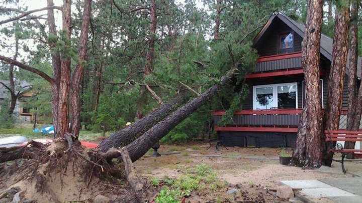 Fierce summer storm uproots trees in the Pembroke region and Fort William, Quebec