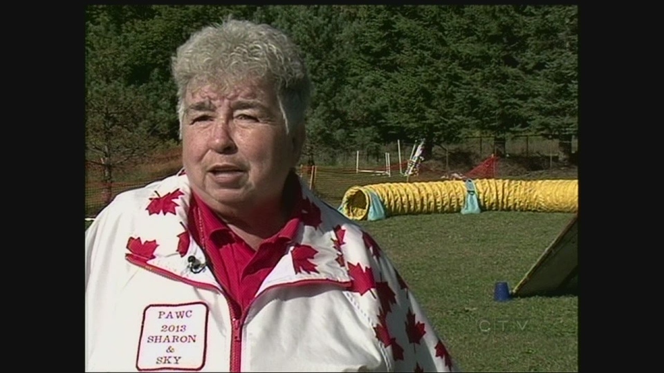 Sharon and her sheepdog prove agile in Para-Agility World Cup