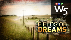 W5: Fields of Dreams