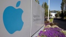 The Apple headquarters in Cupertino, Calif. is shown Wednesday, Aug. 24, 2011. (AP / Paul Sakuma)