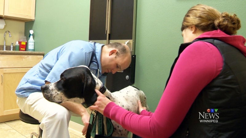 Dr. Darin Meulebroeck of Grand Valley Animal Hospital in Grand Forks, North Dakota.