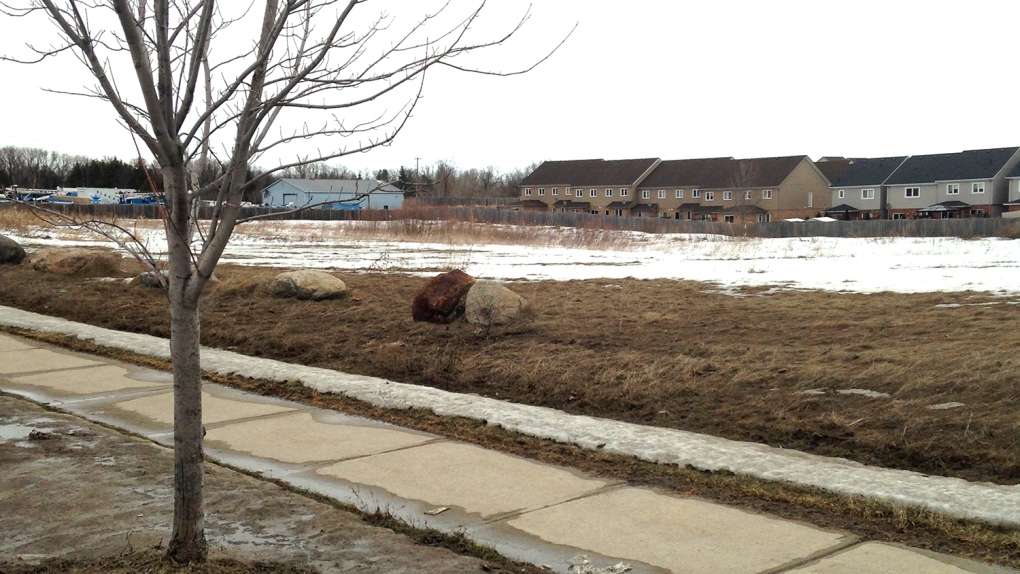 New Alcona public school