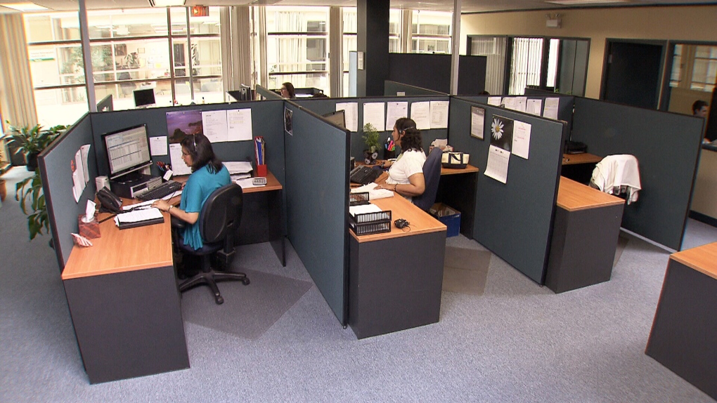 Workers in office cubicles