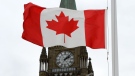 A Canadian flag blows in front of the Peace Tower on Parliament Hill in Ottawa. (The Canadian Press/Sean Kilpatrick)